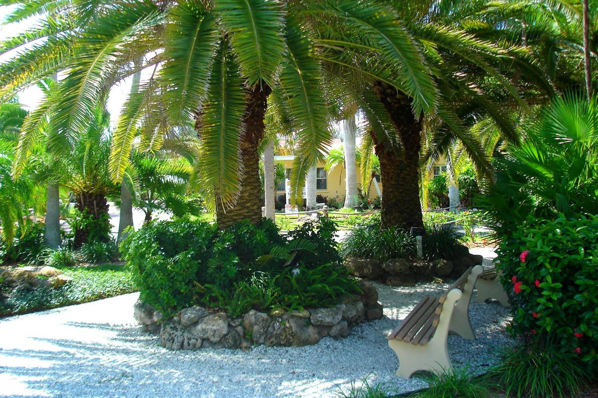 Tropical Beach Resorts - Sarasota Siesta Key Dış mekan fotoğraf