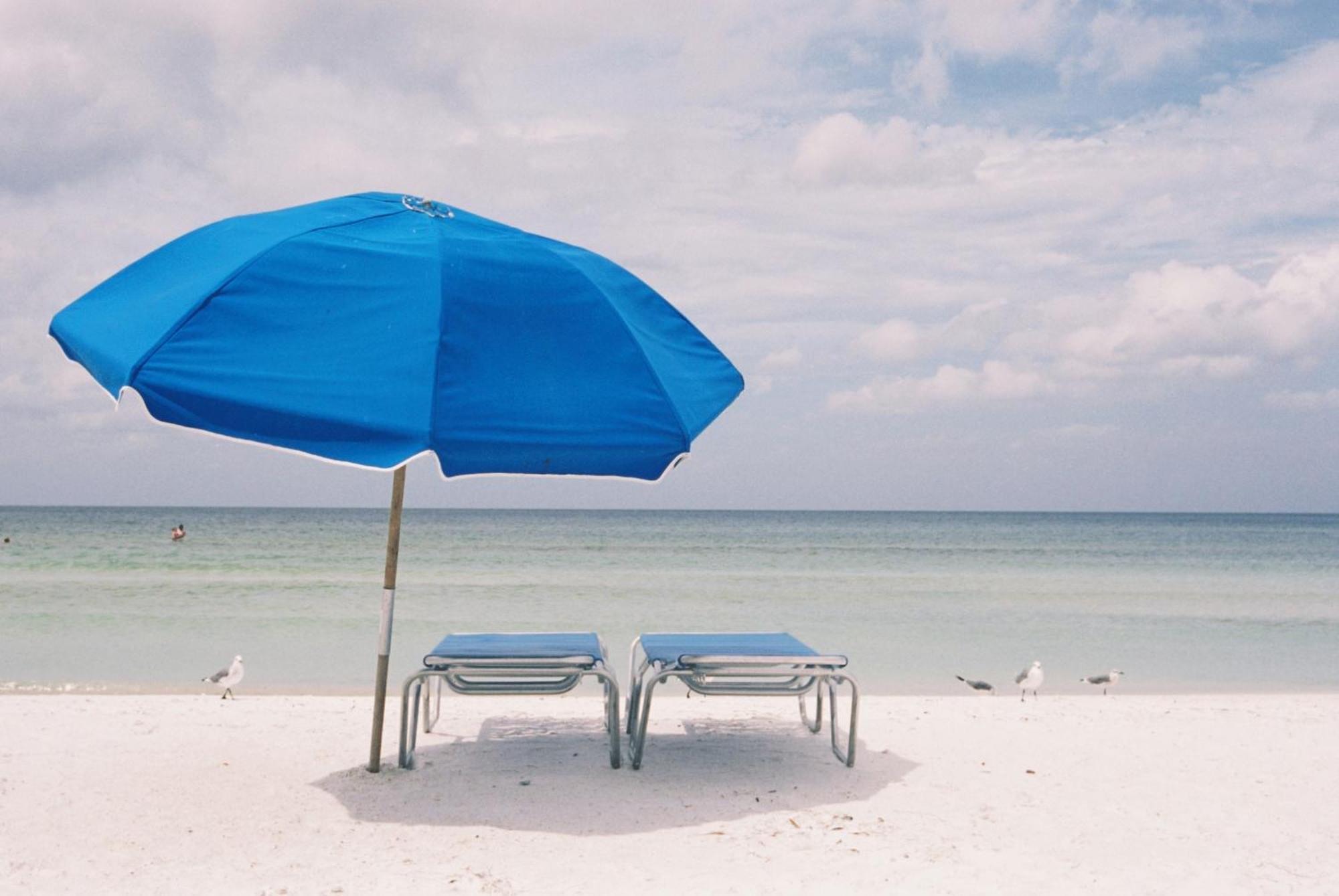 Tropical Beach Resorts - Sarasota Siesta Key Konforlar fotoğraf